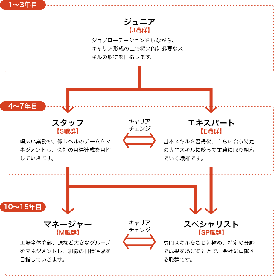 入社後のキャリアステップ